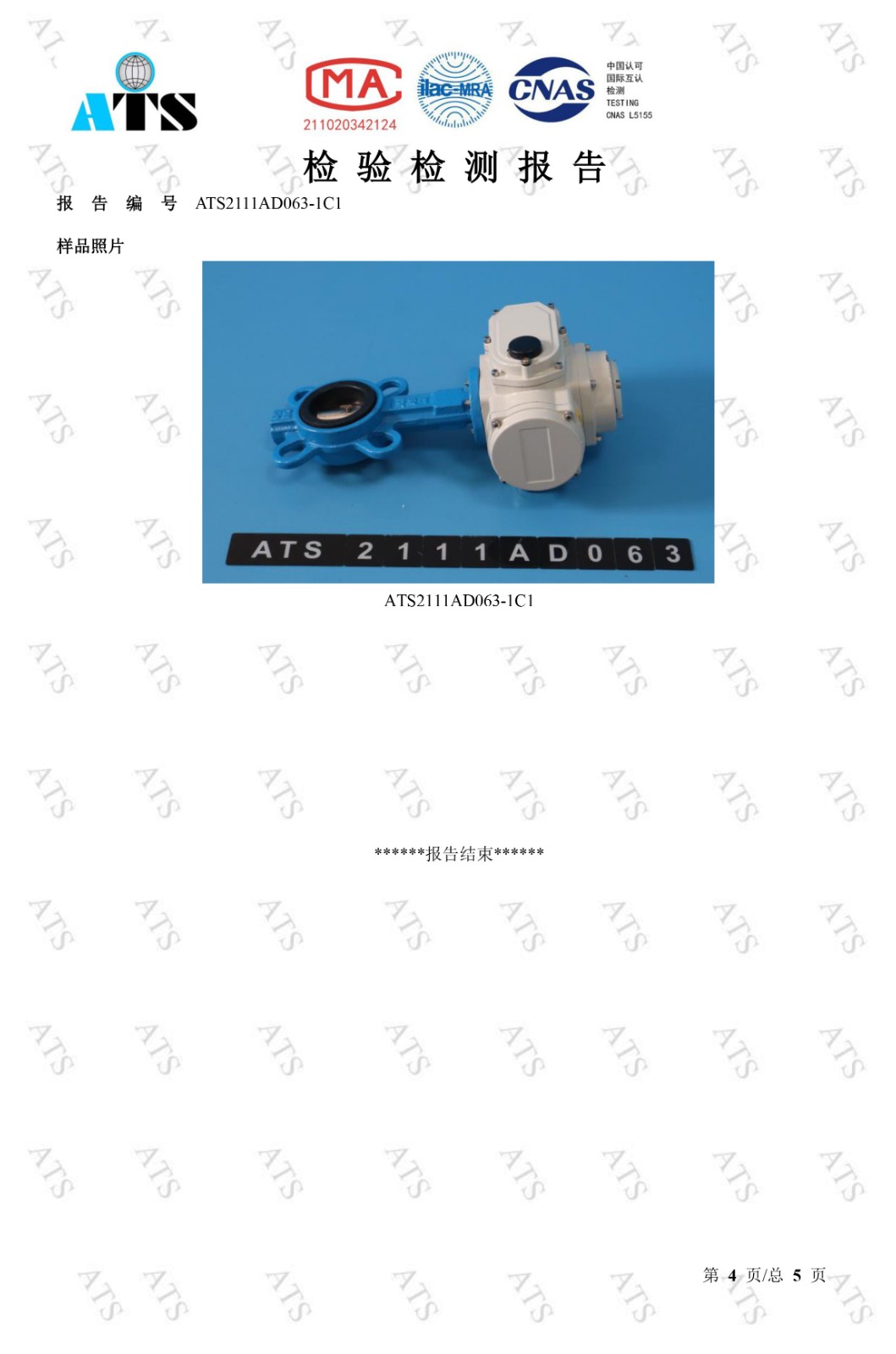 91视频安装下载黄阀检验检测报告